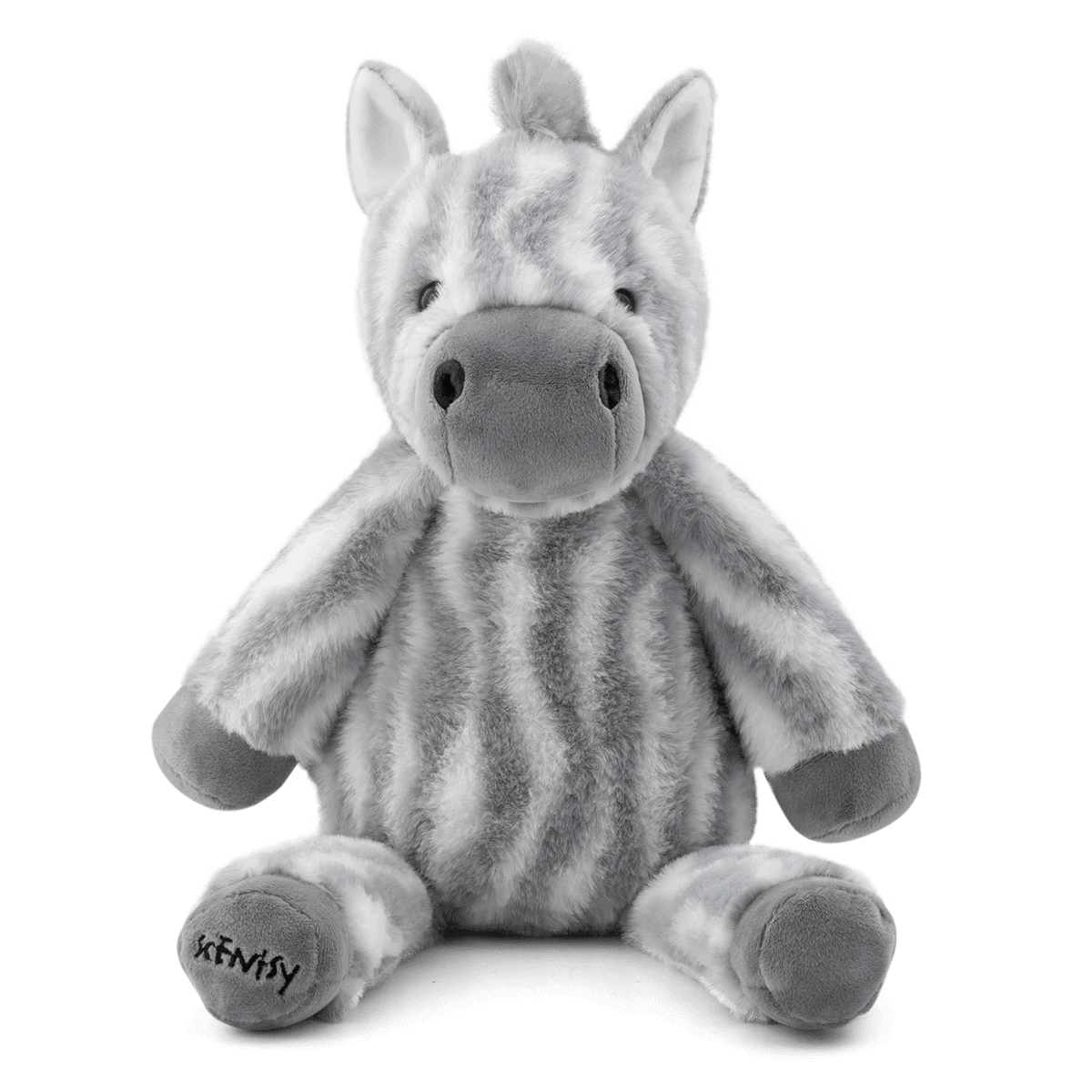 Buddy Zebre