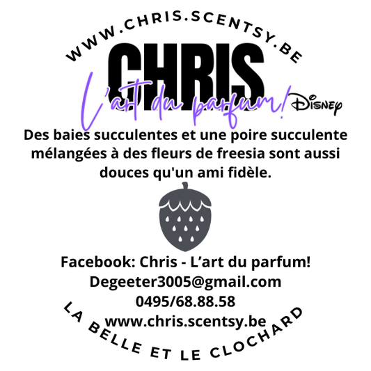 La Belle et le Clochard