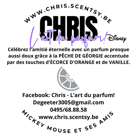 Michey Mouse et ses Amis