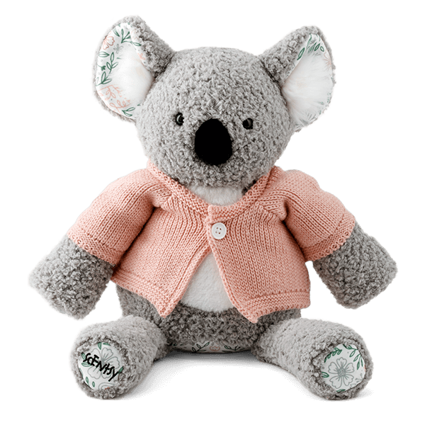 Buddy Koala