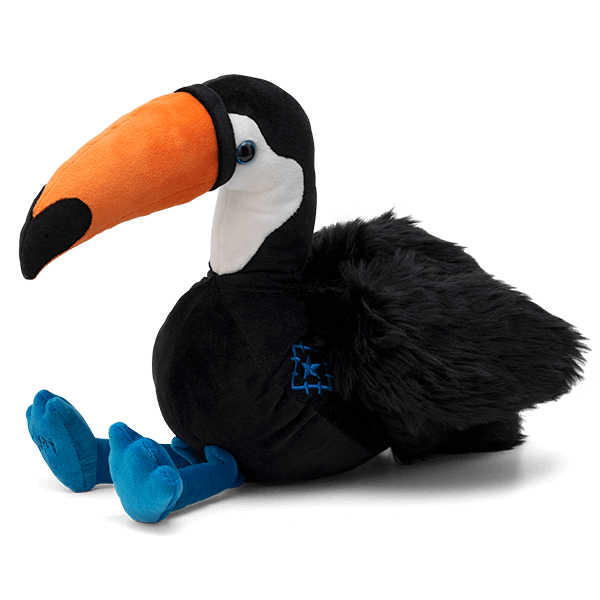 Buddy Toucan
