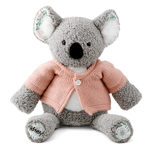 Buddy Koala