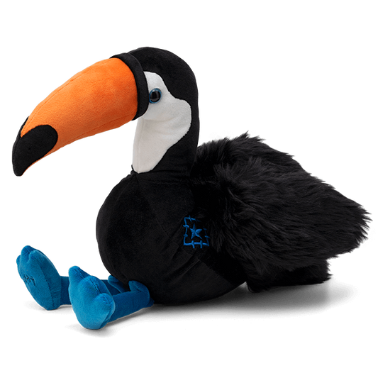 Buddy Toucan